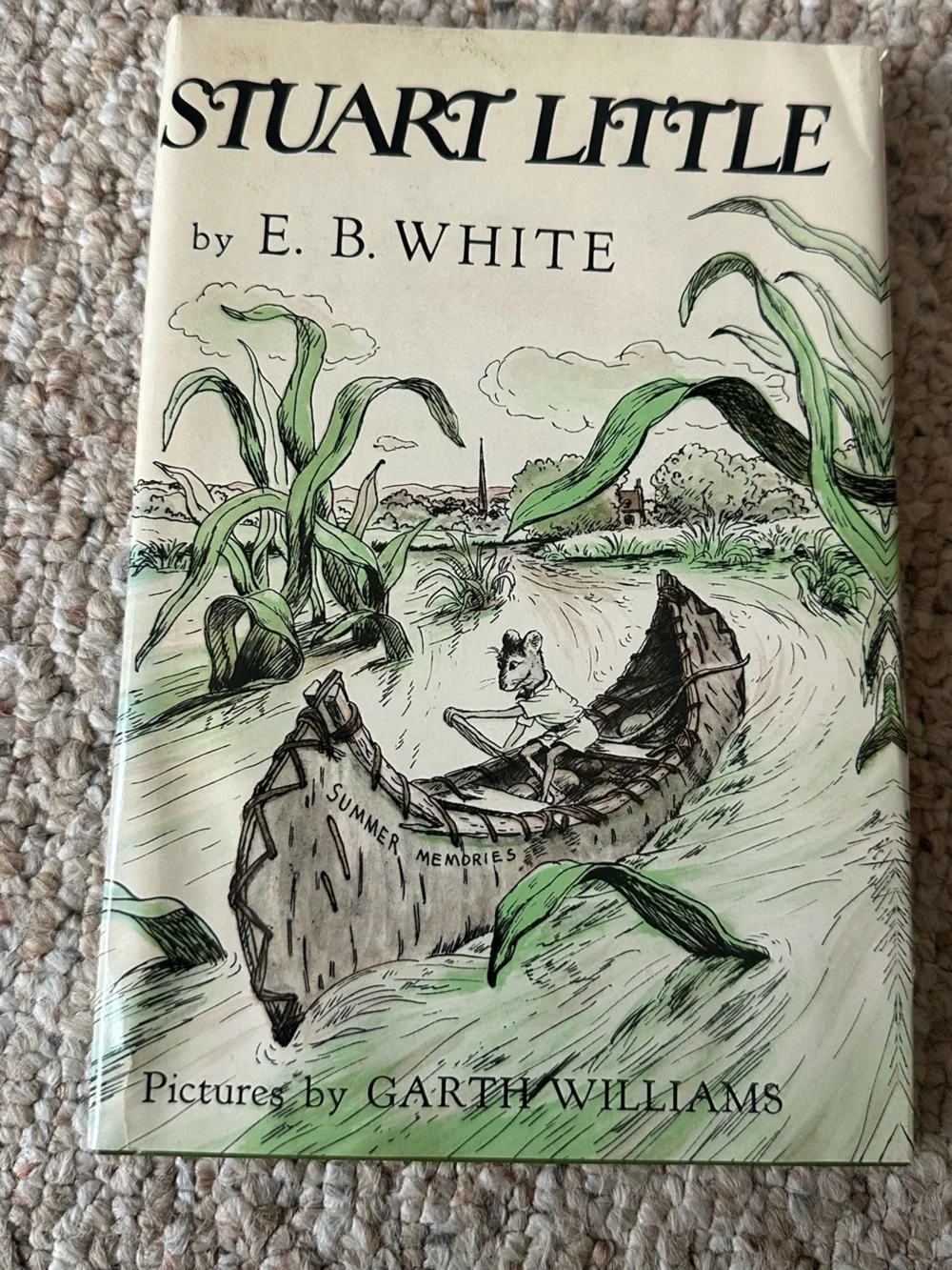 Stuart Little book
